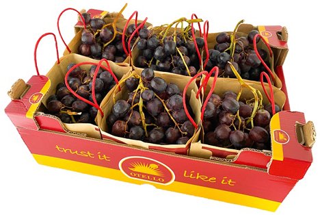 Pack_Makers's tweet photo. NEW PAPER BAG
OTELLO made by KÖLLA – in the new Paper Bag, in a stylish design
"KÖLLA’s white and black Italian grapes under the OTELLO private label have been available in the newly designed Paper Bag since week 31" #paperbag #otello #kolla #packaging 
https://t.co/F0OB7xIic6 https://t.co/MEbM6oxeLc
