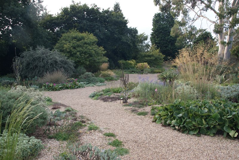 Wilde Weelde tweet media