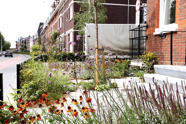 De nieuwsbrief van september is uit! 
Connie Ettema, Laura Knoops en Luuk Wijerin delen hun tips en ideeën over het omgaan met steeds drogere zomers. Veel leesplezier.
wildeweelde.nl/nieuwsbrief-se…