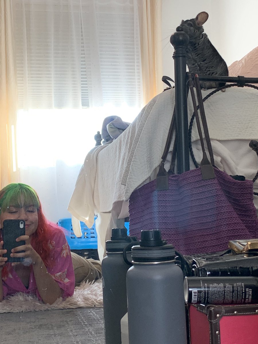 peachyhorizon's tweet photo. boba said what if i go apeshit https://t.co/rKMMwmzZYs