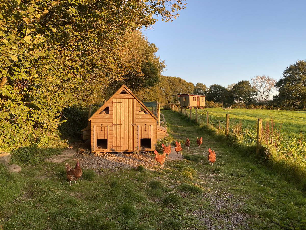 Ad / <a href="/FeatherDownUK/">Feather Down Farms</a> The girls have LOVED visiting the chickens on the farm. They’d collect the eggs, feed them and have a little chat to them. It’s such a lovely way of teaching them a little about farm life! #glamping #backtonature #lifeonafarm