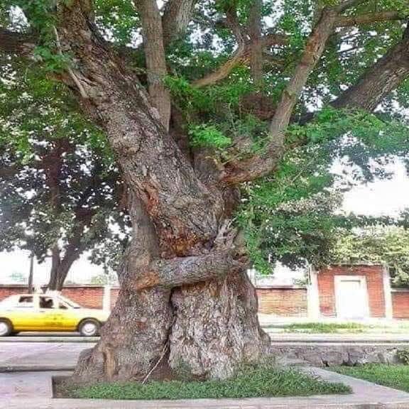 Miguel Díaz tweet media