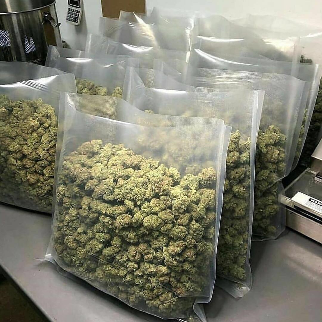 macbeuh's tweet photo. Verte🍃jaune🌻marron🏵️Coke🦂MDR💊Crack💎🔥dispo
🔥Snap 👻:  jamal_kdusal421

#weed #shit #beuh #marijuana #rasta_bot #AixenProvence #Brest #Finistère #Bretagne #Tours #IndreetLoire #Amiens #Somme #HautsdeFrance #Limoges #HauteVienne #Annecy #HauteSavoie https://t.co/P8aazcCAB9