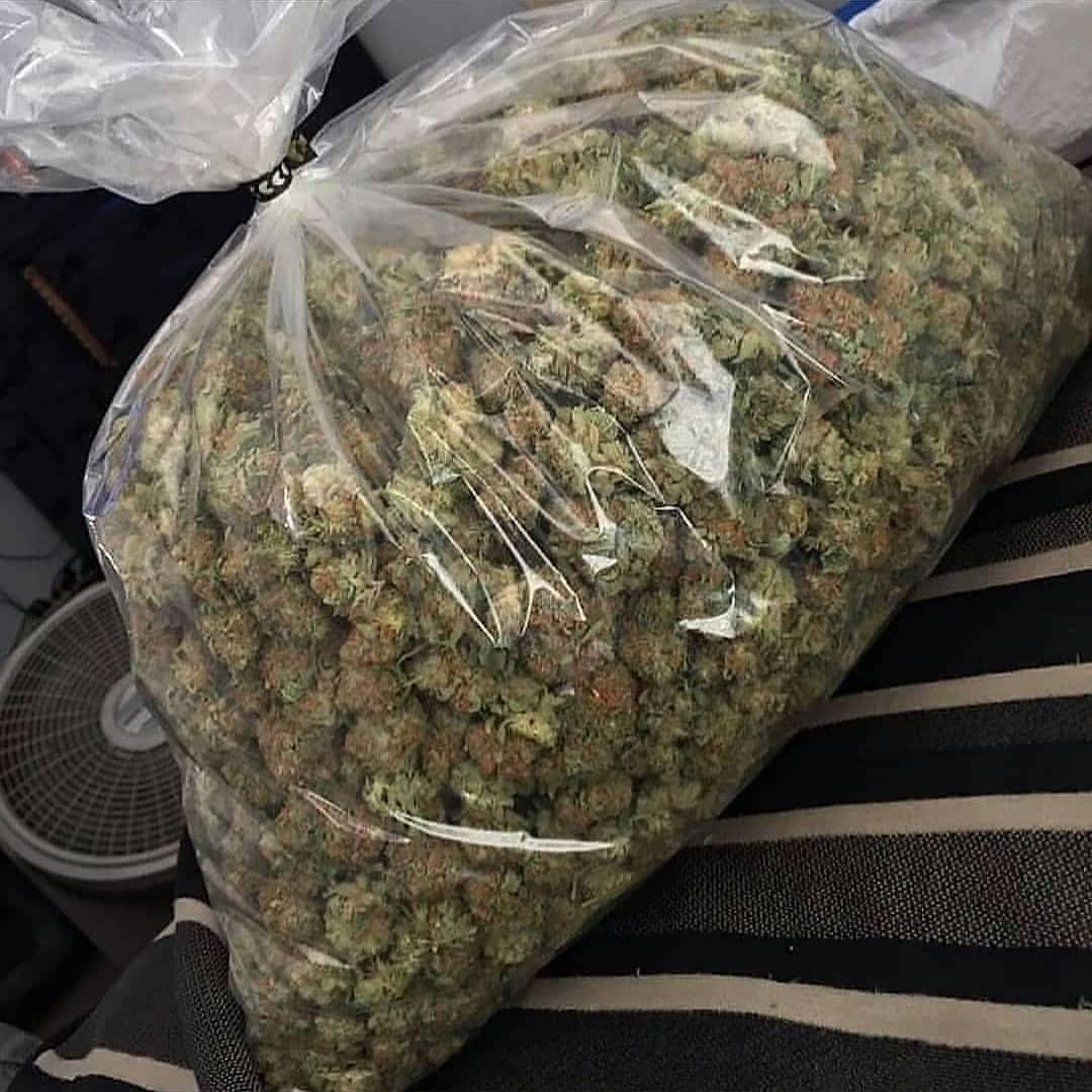 macbeuh's tweet photo. Verte🍃jaune🌻marron🏵️Coke🦂MDR💊Crack💎dispo
🔥Snap: jamal_kdusal421

#weed #shit #beuh #cannabis #marijuana #rasta_bot #Perpignan #BoulogneBillancourt #Orléans #Loiret #Metz #Moselle #Besançon #Doubs #BourgogneFrancheComté #SaintDenis #SeineSaintDenis https://t.co/IYsPGuAn80