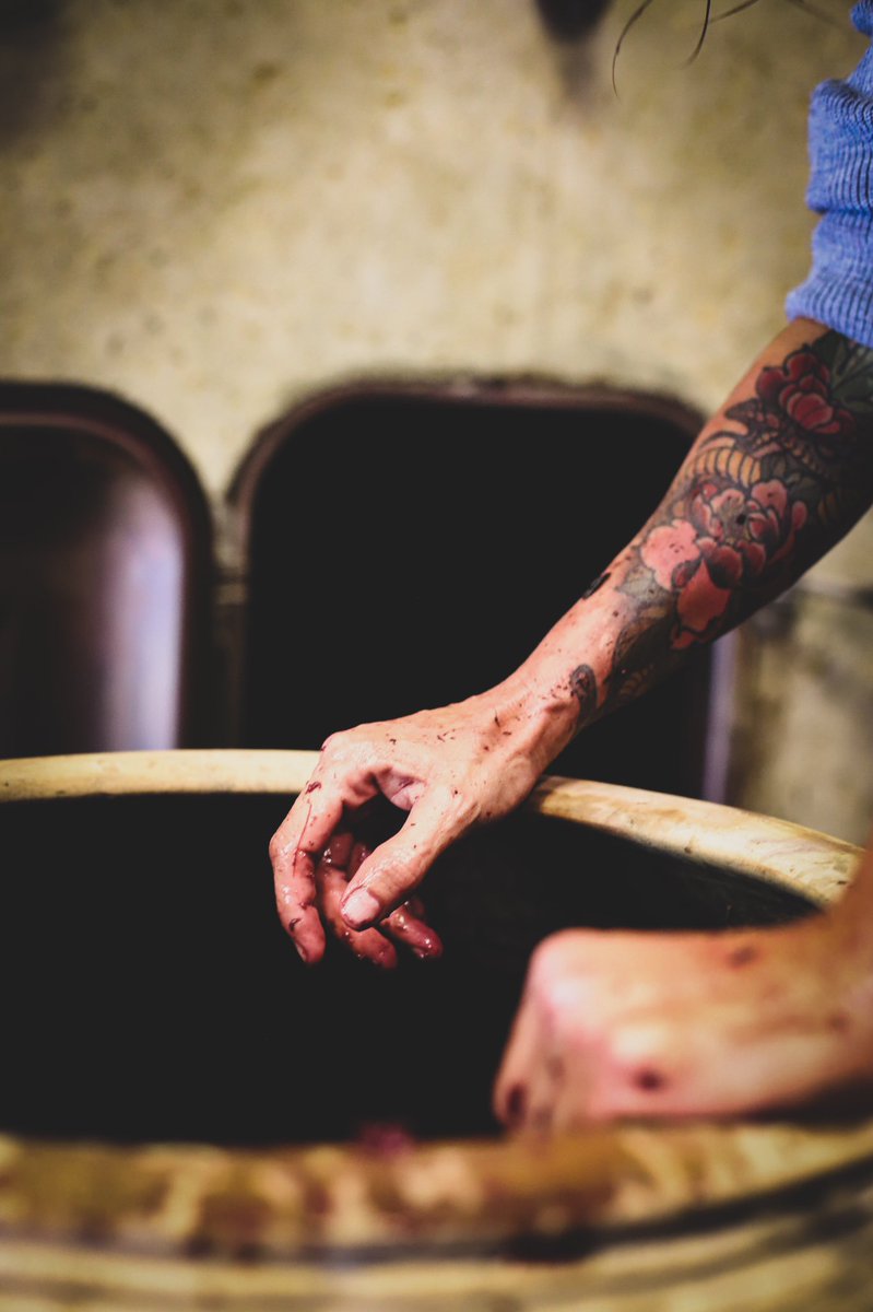 Ꮇas Ꮇartinet tweet media