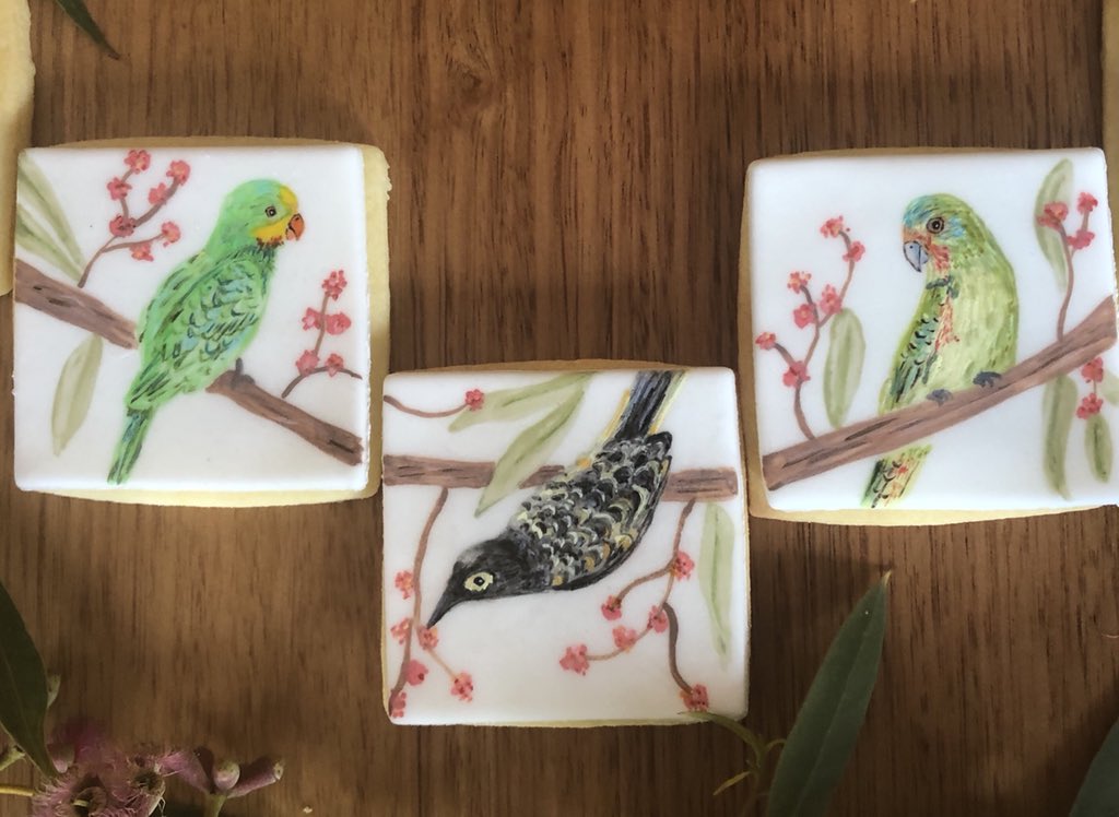 zactoby's tweet photo. Here is my entry for the #TSBakeoff
What’s in your Backyard.
This year my entry features yummy vanilla biscuits with hand painted edible images of seven bird species and one plant species that are under threat in the City of Whitehorse. @TSCommissioner https://t.co/GByeBliRPs
