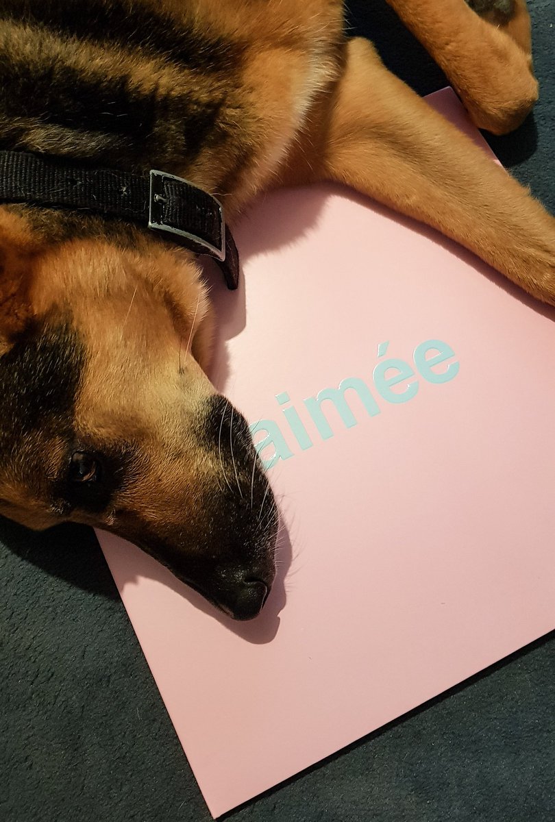 krokette1's tweet photo. "aimée" est adopté avec douceur par toute la famille.💕
Hippie a une préférence pour "Waf"🎶 et fait de grosses léchouilles à Simone et Jean-Marc. 🐶👅❤
#JDaimée
#JDWaf
#SimoneEtJeanMarc
#JulienDoré https://t.co/BtpzIy2HUX