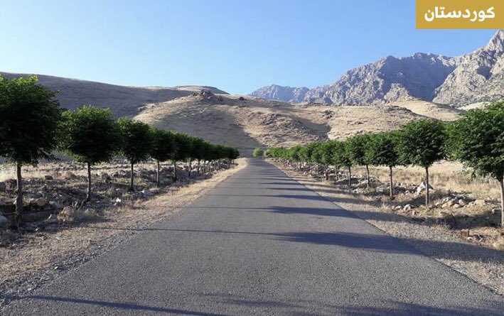 ayubnuri's tweet photo. A man in Hawraman has singlehandedly planted 1,000 trees in and around his town. #WorldCleanAirDay 
#Kurdistan 📷 Rudaw https://t.co/8pnEc3BXgj