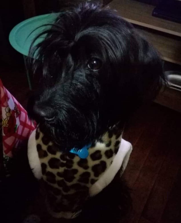 Mi preciosa 😍😍😍😍