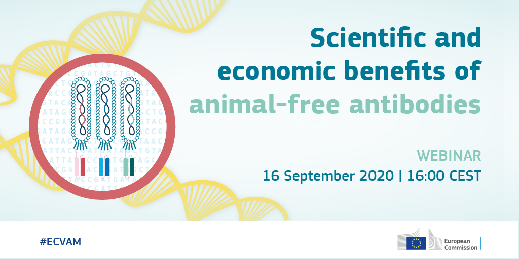 EU_JRC's tweet image. What are the benefits of using animal-free 🐭 technology to produce affinity reagents?

Join our webinar and learn more about our new recommendation on #NonAnimal derived antibodies!

When?🗓️ 16 September | 16:00 CEST

Register here ✍️ europa.eu/!UQ73GM

#ECVAM
