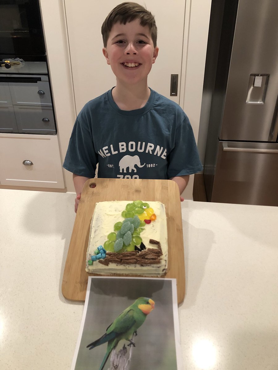 zactoby's tweet photo. Lukes entry for #tsbakeoff
Superb Parrot.
This year, Luke (age 12) has baked a delicious lemon cake, &amp; decorated this with as many lollies as he could! He would like to bring attention to the plight of the Superb Parrot, one of Australia’s threatened species.
@TSCommissioner https://t.co/4JyPxi9odq