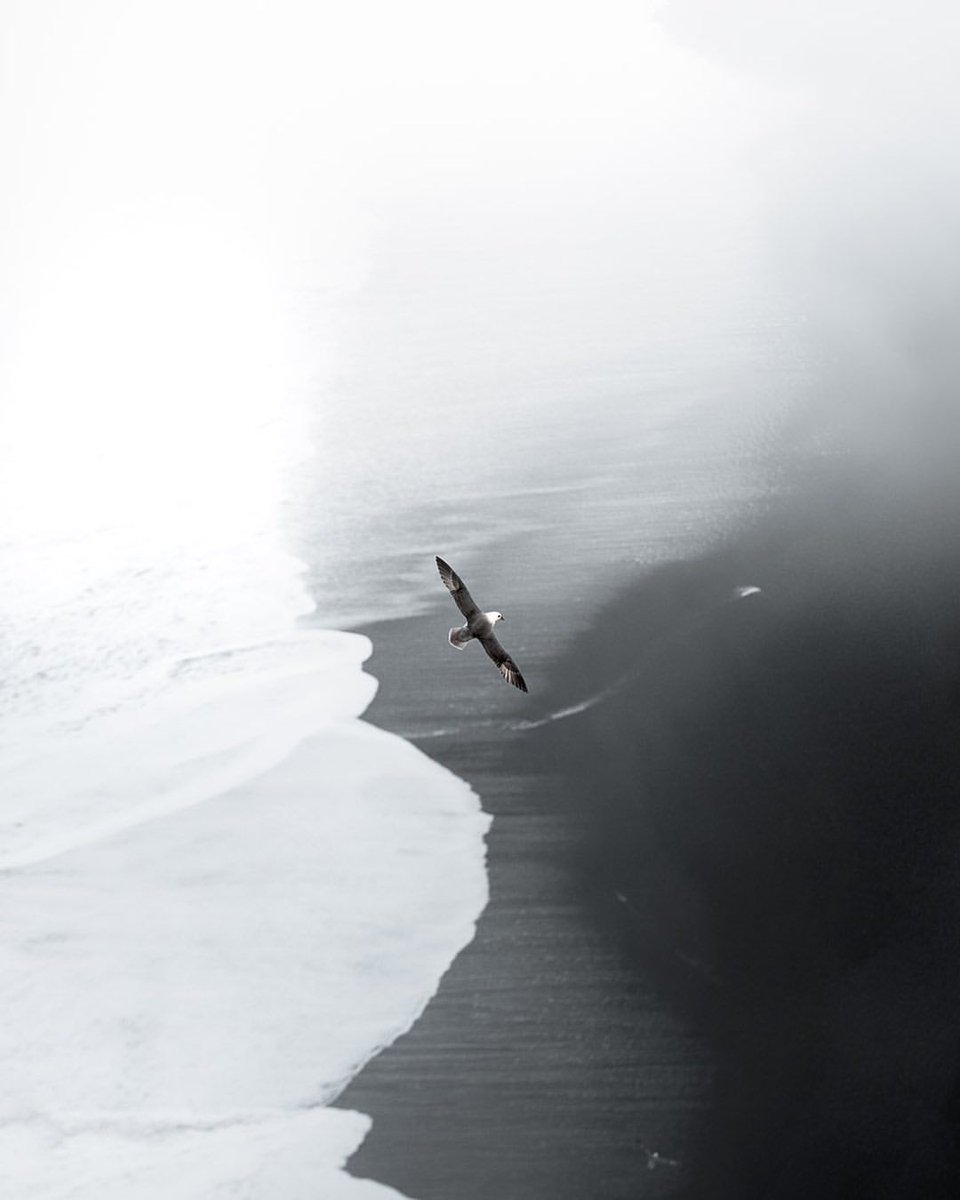 minimalism tweet media