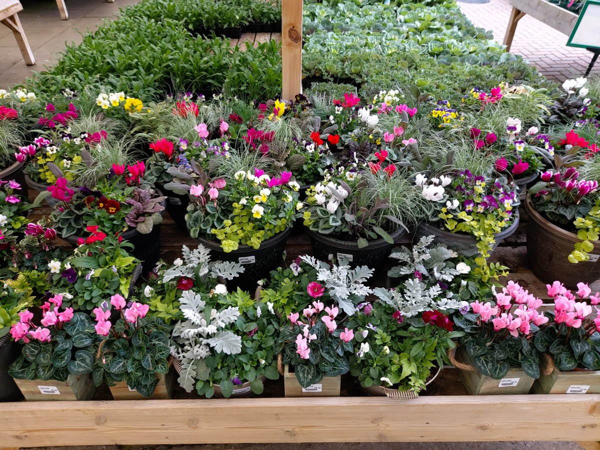 Dean S Garden Centre On Twitter We Have A Fantastic Range Of Autumn Planters Now In Stock Perfect For Adding Instant Colour To Your Garden Pop In And Pick Yours Up Today We