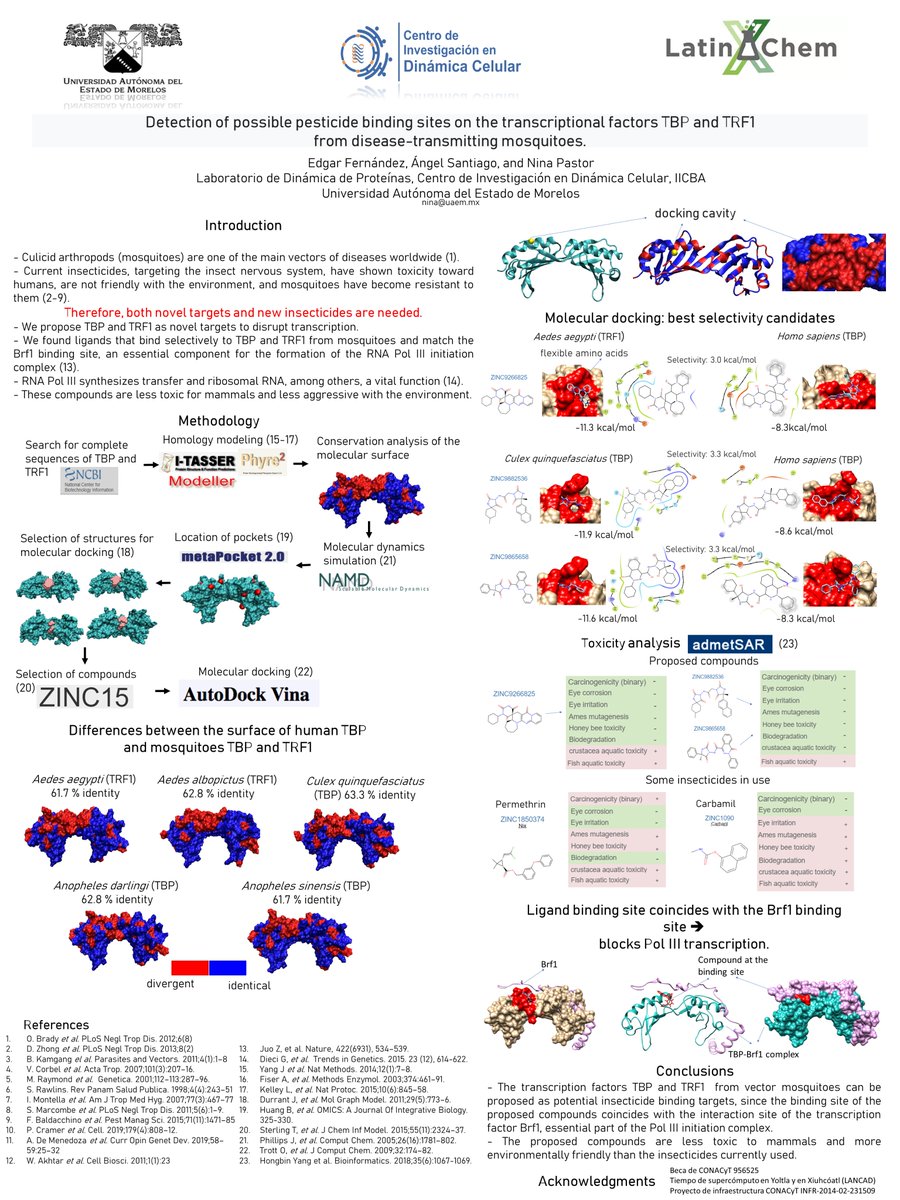EdgarFernndezU1's tweet photo. Hi @LatinXChem, the title of my work is: "Detection of possible pesticide binding sites on the transcriptional factors TBP and TRF1 from disease-transmitting mosquitoes". #LatinXChem #LatinXChemBio #BIO020
Here I show you the results of my master's research. #MolecularDocking https://t.co/GKXGkZ4ibE