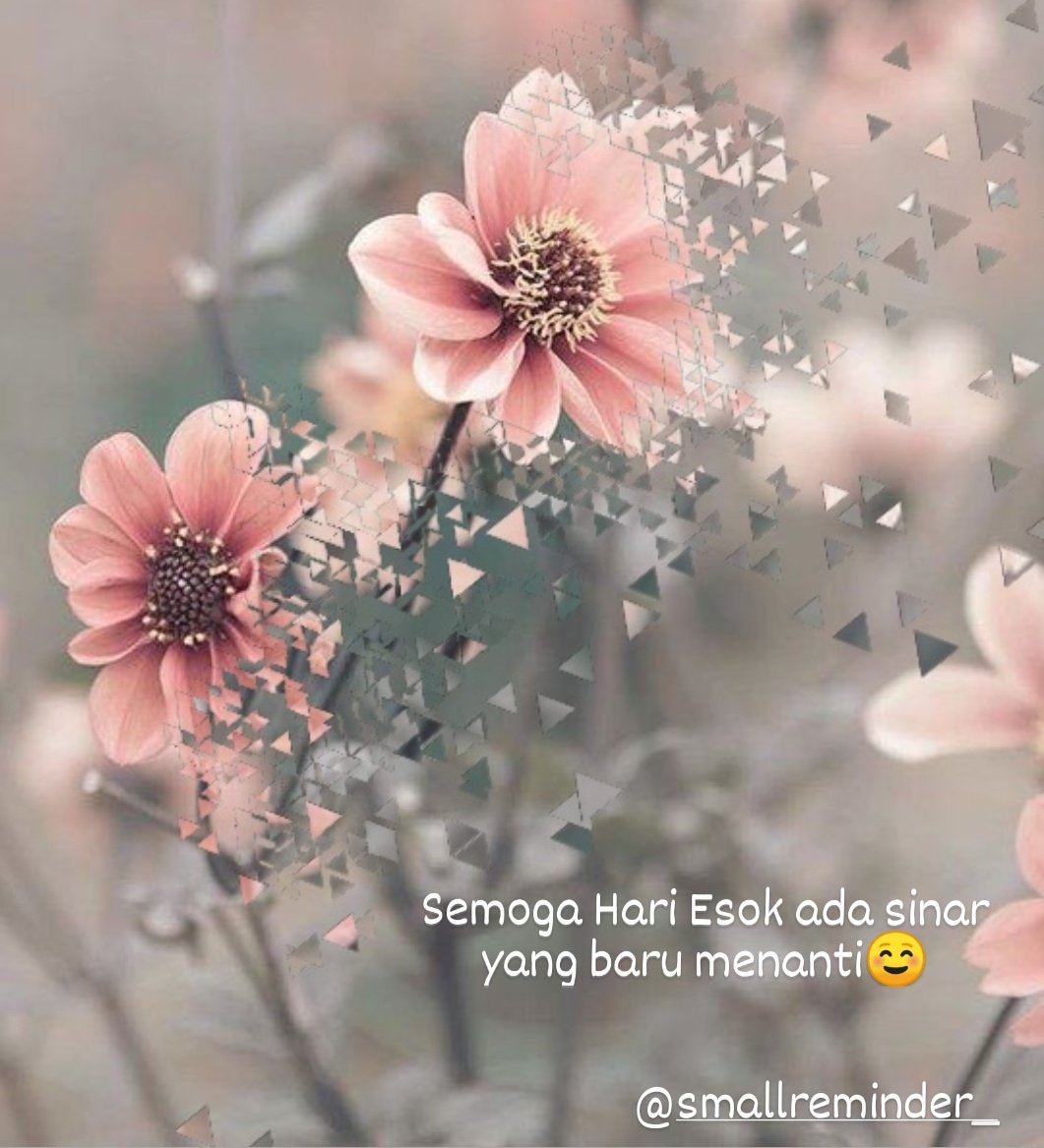 _smallreminder's tweet photo. Bismillah.... https://t.co/xURFxJ7fjY