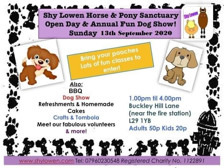 Shy Lowen Sanctuary (@shylowen) on Twitter photo 