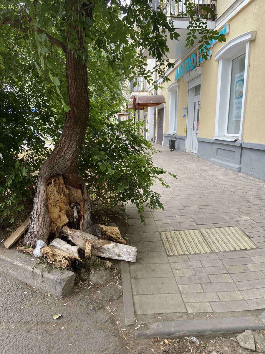 ChugunovPS's tweet photo. @SamMobilePriem @va_vasilenko @DepGorHozSamara Господа, обращаю Ваше внимание на дерево в аварийном состоянии на площади Революции (на фото). @AdmSamRna направляла письмо в ДГХиЭ (но фото), но по указанному номеру неделю никто не отвечает. Когда его уберут? https://t.co/jjNxKtPURI
