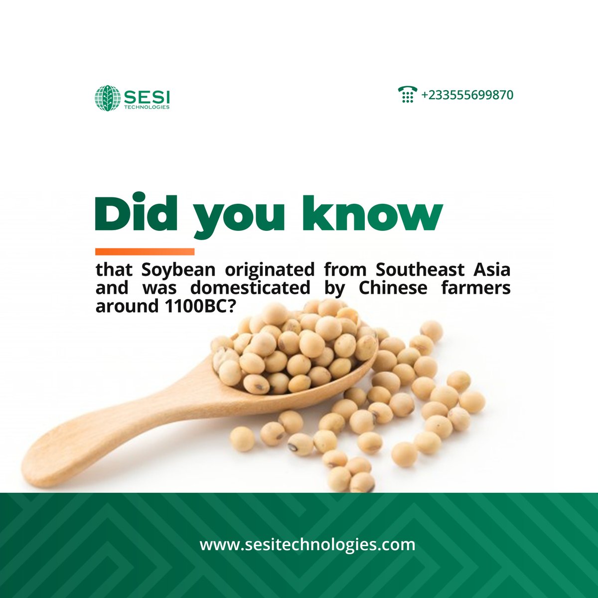 sesitechgh's tweet photo. The soybean is a species of legume native to East Asia, grown for its beans and which can be used as food, oil, milk etc. It spread through Asia and eventually to the rest of the world.
#sesitechnologies #grainmate #interestingfacts #grains #soyabean #origin https://t.co/oCvd8eQyE9