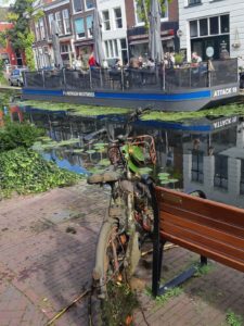 Canal Clean Up Delft

Afgelopen zondag hebben onze leden meegeholpen met de Canal Clean Up Delft. Tijdens deze ochtend gingen er allerlei vaartuigen de grachten van Delft in om zoveel mogelijk afval uit het water te vissen. Onze bevers, dolfijnen, waters… ift.tt/3ic1qV2