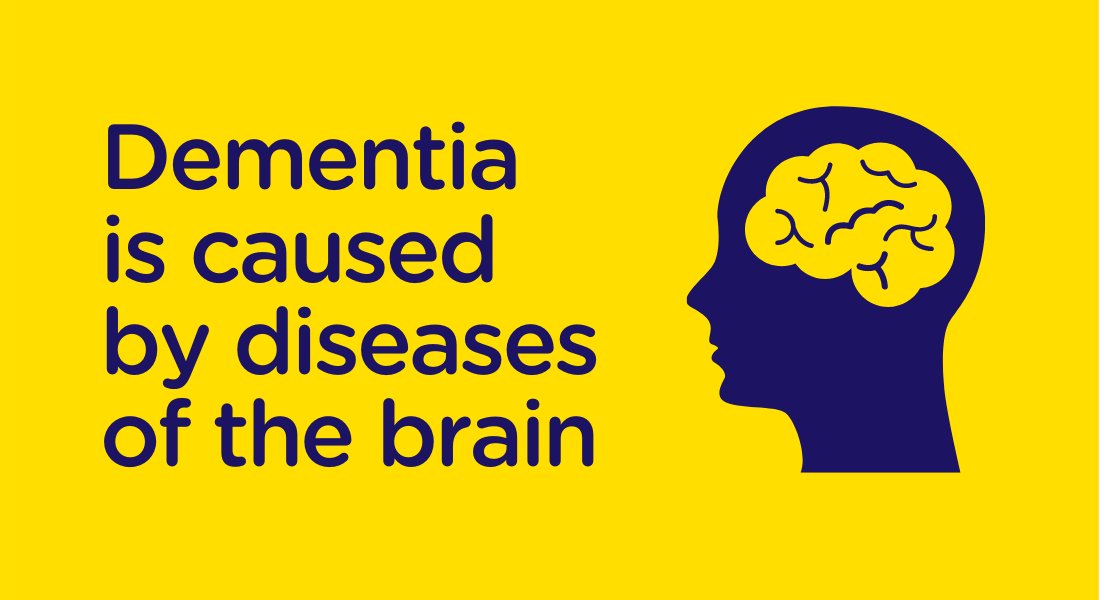 Did you know that dementia is caused when the brain is damaged by diseases, such as Alzheimer’s disease or a series of strokes. The specific symptoms that someone with dementia experiences will depend on the parts of the brain that are damaged and the type of disease.