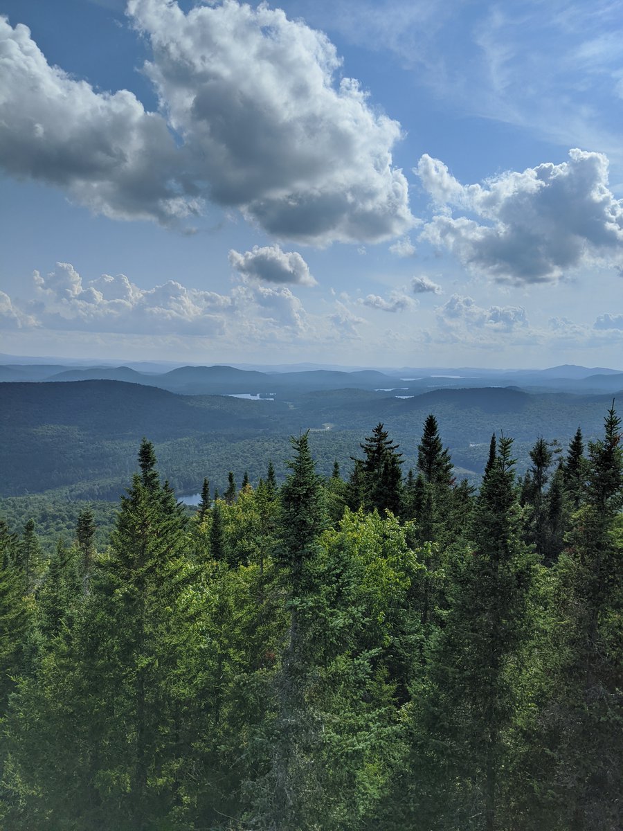 (7/10) For years we had been putting off doing tough hikes. The weekend after his diagnosis, we loaded Anderson in his old baby carrier and hiked to the top of an Adirondack peak. It wasn’t a particularly tall mountain, but he loved being “king of the world” at the top.