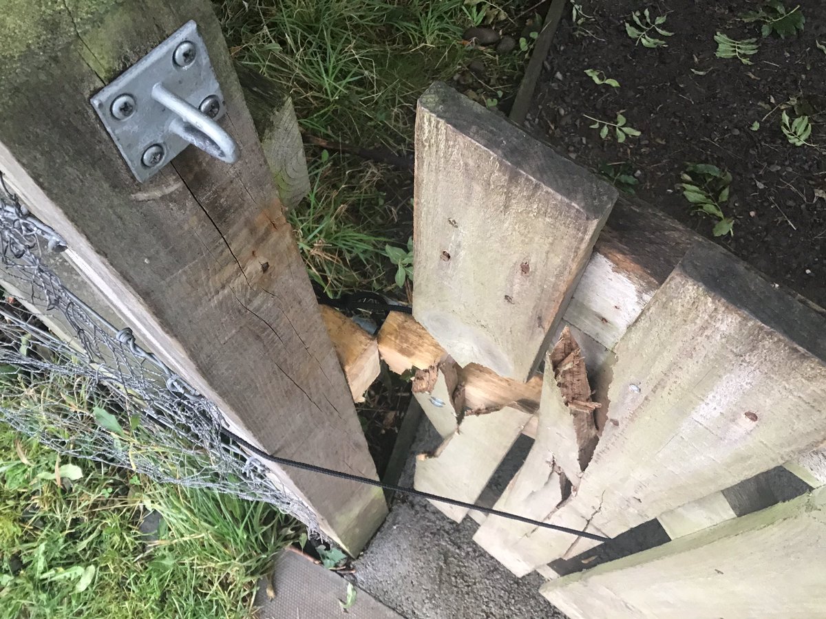 melrose_ps's tweet photo. Please help us by sharing and retweeting in the community... This gate gets locked to make sure our ELC learners can’t access a road. This gate has been vandalised and broken every week since we reopened. It is mindless, unnecessary and puts our youngest at risk. Please stop 😢 https://t.co/jLTckk6c1W