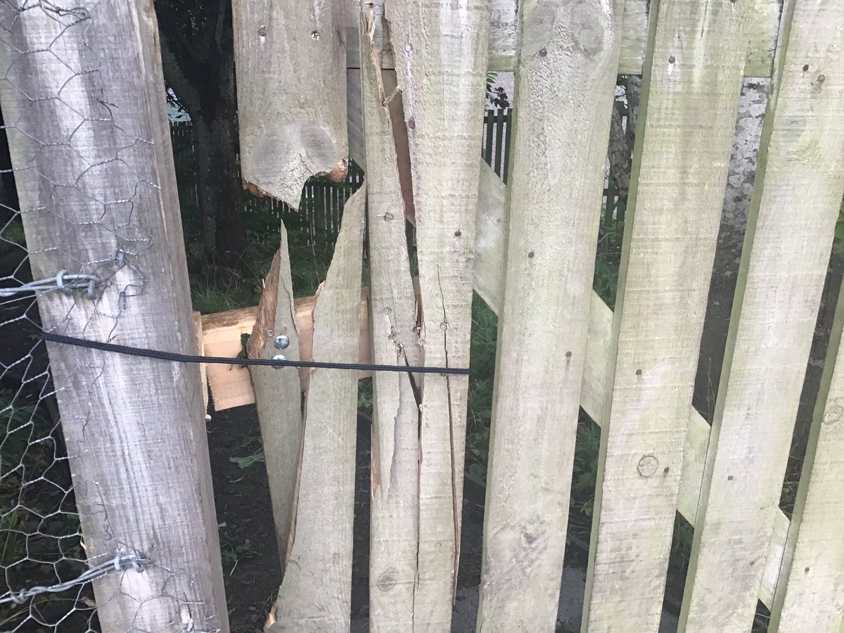 melrose_ps's tweet photo. Please help us by sharing and retweeting in the community... This gate gets locked to make sure our ELC learners can’t access a road. This gate has been vandalised and broken every week since we reopened. It is mindless, unnecessary and puts our youngest at risk. Please stop 😢 https://t.co/jLTckk6c1W