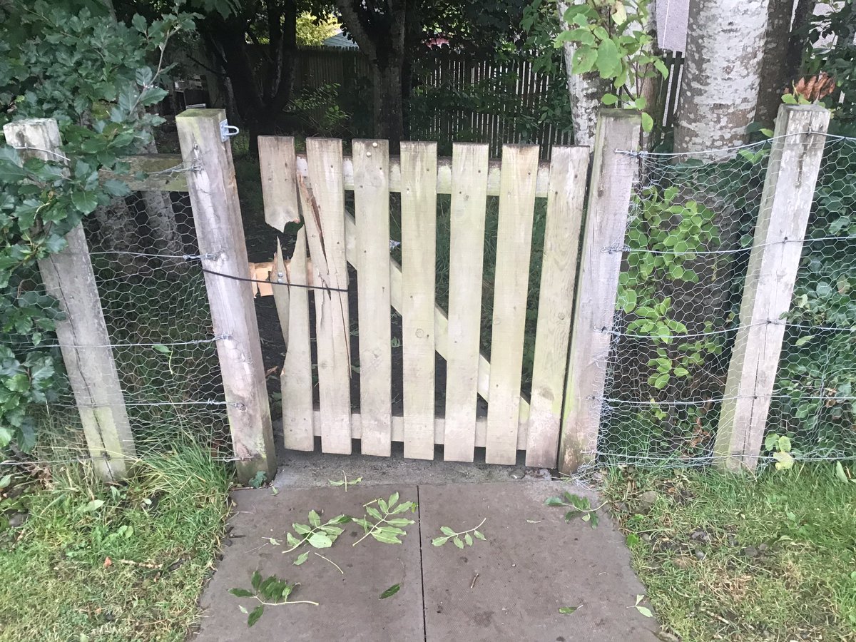 melrose_ps's tweet photo. Please help us by sharing and retweeting in the community... This gate gets locked to make sure our ELC learners can’t access a road. This gate has been vandalised and broken every week since we reopened. It is mindless, unnecessary and puts our youngest at risk. Please stop 😢 https://t.co/jLTckk6c1W