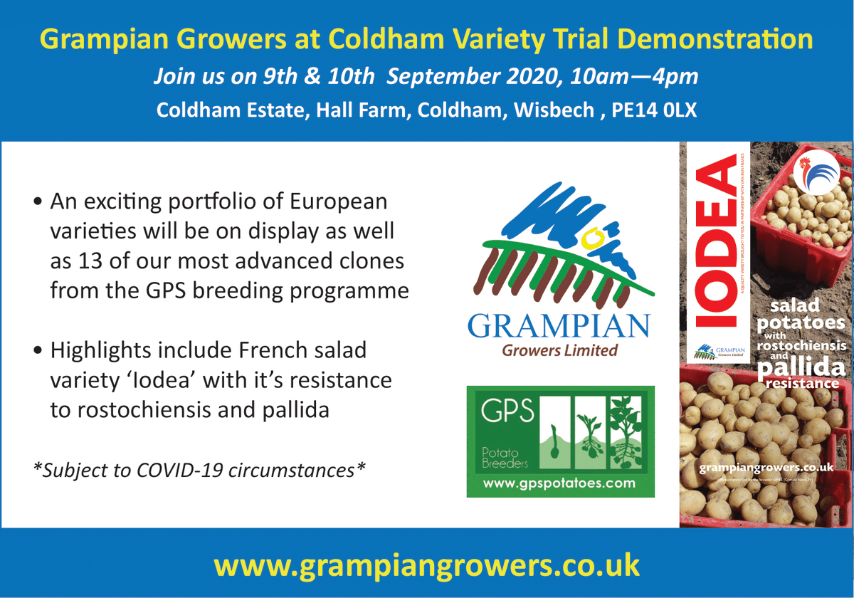 GrampianGrowers's tweet photo. 📢THIS WEDNESDAY/THURSDAY!😃🥔 Come and visit us at Coldham. We have impressive varieties on display suiting every market including the pallida and rostochiensis resistant #Iodea.
Safe COVID measures will be in place⚠️ https://t.co/xB3cb5nsmD