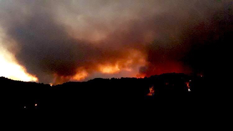 barisatay's tweet image. Her sene, bir başka söndürülemeyen yangın, ağaçlandırılmayan ormanlık alanlar, yok olan canlılar... #HatayYanıyor Doğamız katlediliyor, şehirde resmen iklim değişiyor. Ve hala telefi etmek yerine; ormanlık alanlardan geçen yeni yollar, maden sahaları açma peşinde olan bir kafa!