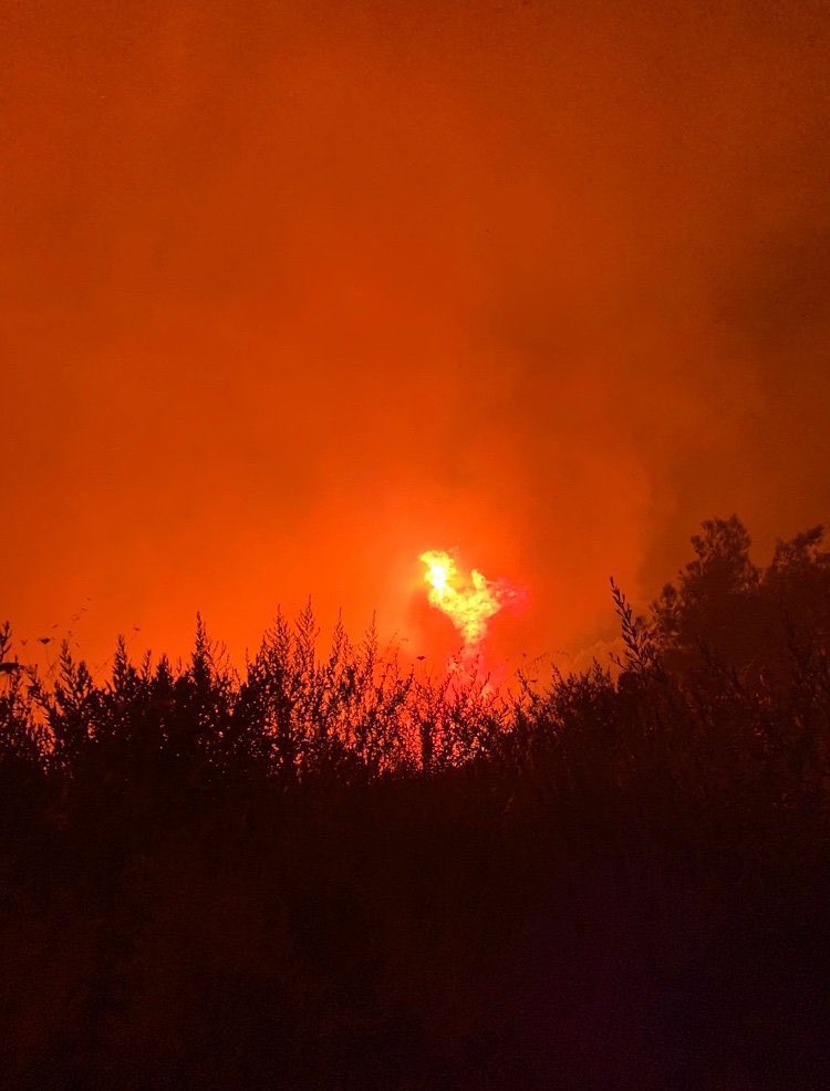 barisatay's tweet image. Her sene, bir başka söndürülemeyen yangın, ağaçlandırılmayan ormanlık alanlar, yok olan canlılar... #HatayYanıyor Doğamız katlediliyor, şehirde resmen iklim değişiyor. Ve hala telefi etmek yerine; ormanlık alanlardan geçen yeni yollar, maden sahaları açma peşinde olan bir kafa!