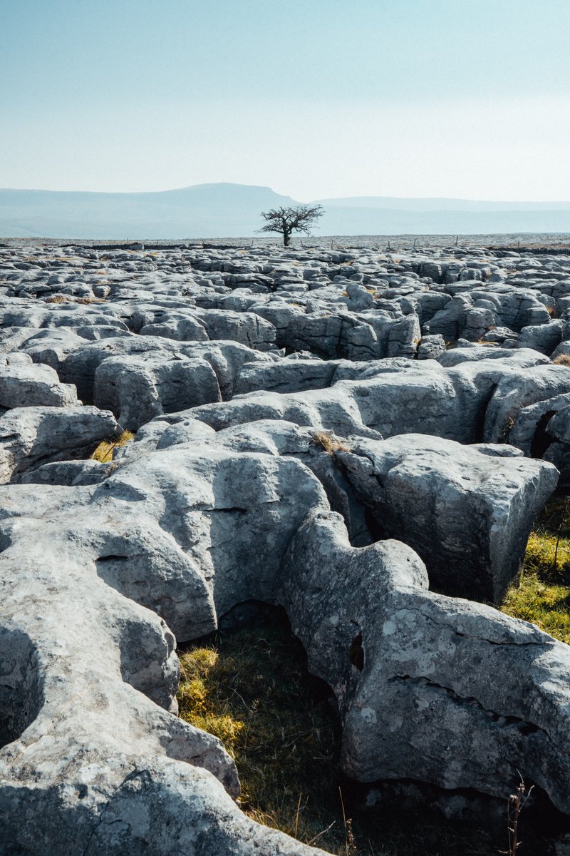 yorkshire_dales's tweet photo. It's feeling decidedly 'backendish', although an Indian summer is threatened!
We're starting the week with this stunning view across Sulber.
https://t.co/FkQmfCTzDp
#MondayMotivation #Sulber #YorkshireDales #Yorkshire #LimestonePavement
📸 Christopher Werrett https://t.co/IoxJoZjy7F