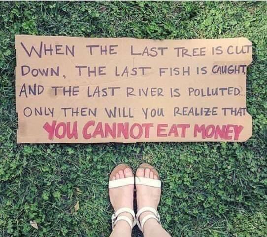 LicypriyaK's tweet photo. In Case you didn't know:

🔥 The Amazon's fires are worse than last year. 

🔥 2020 California fire season is 25 times worse than 2019

🔥 The amount of carbon dioxide emitted by Arctic wildfires this year is already 35% higher than the figure for the whole of 2019. https://t.co/JGNB5jijg8