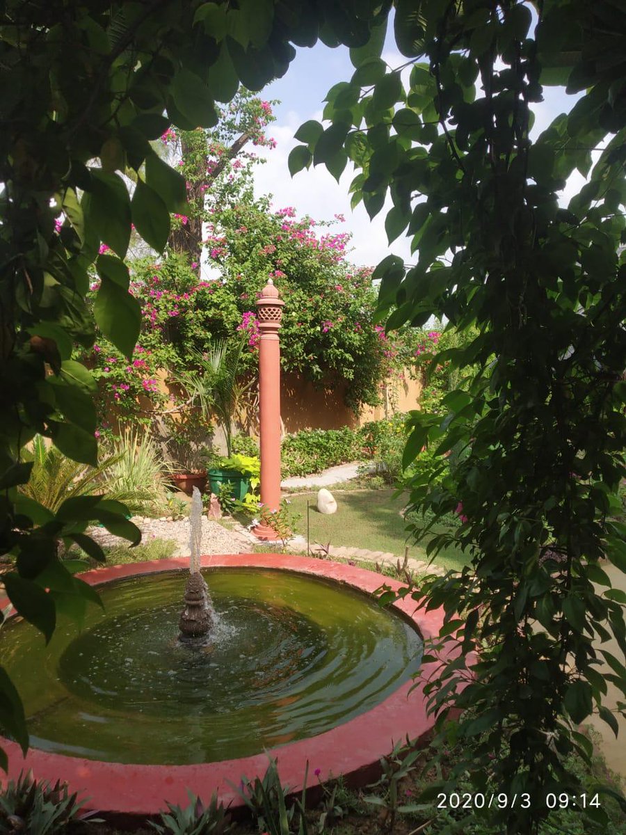 TheGoodbookapp's tweet photo. Somewhere in vrindavan a beautiful place. We headed out to Barsana to a beautiful place. Probably India's largest gaushala.  Cow shelter but this place is a spiritual sanctuary.

Can't disclose exactly location but someone can help you make one like that. https://t.co/PqBwKbE3Hb