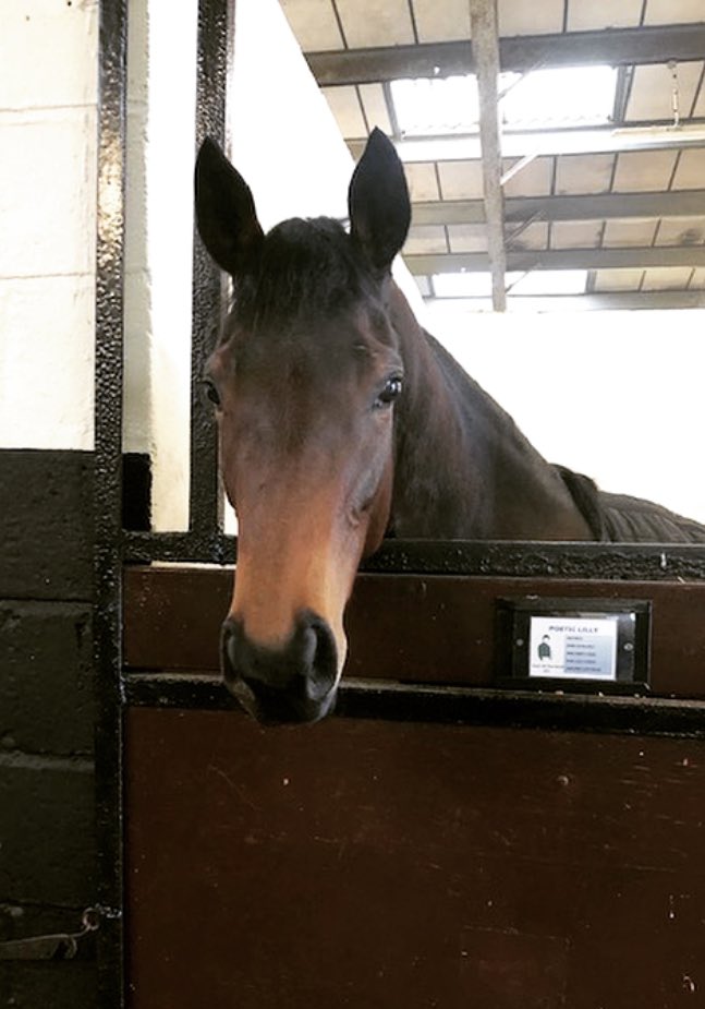 Heart of the South Racing tweet media