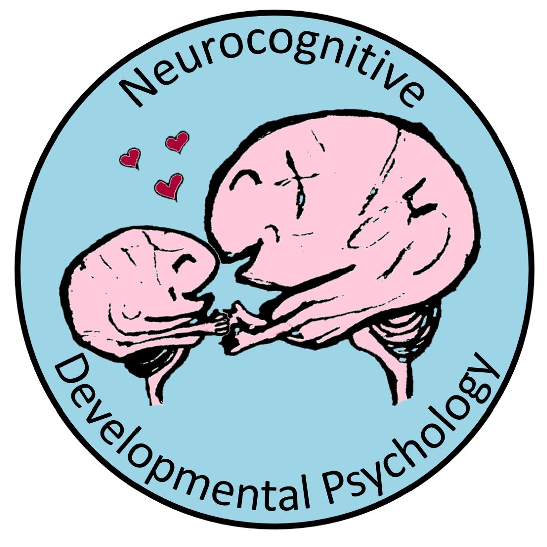 Lou_Kulke's tweet image. We have launched our new lab website! It&apos;s still under construction but you can already find out more about our general research areas and job offers: neurodevpsychology.phil.fau.de/team/job-offer… #neuroscience #settingupthelab #developmentalneuroscience #psychscience