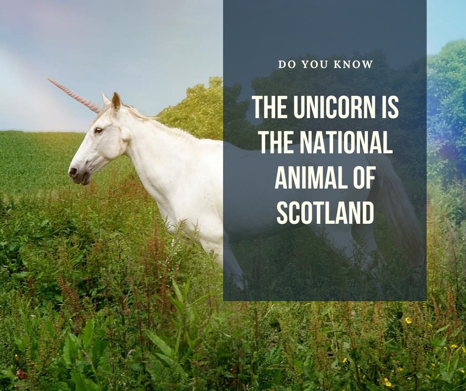 geekpyramid's tweet photo. fact
#facts #funfact #knowlledge #gk #general #unique #fatc #unicorn #hourse #white #world #india #scotland #national #animal #horn https://t.co/NDSVDb9ccU