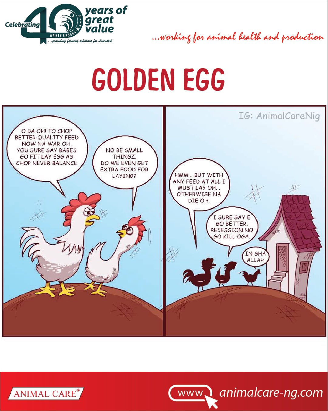 Animal Care Nigeria on Twitter "Chicken feed is very important if you