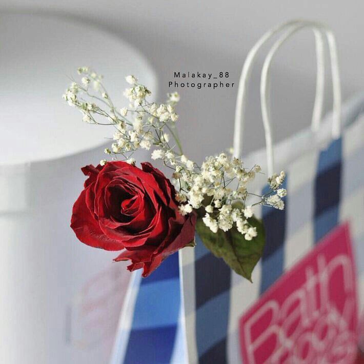 adjd5o's tweet photo. #المغربيه ➺ ┊🎻↷

ڪنـت بـ ڪامل ثبـاتـي ، وباللحـظـة إللـي صـادفـت فيـهـا عيـونـك إنـهـزمت بـ ڪل حـب 🎼✨ https://t.co/fckm6w9G19