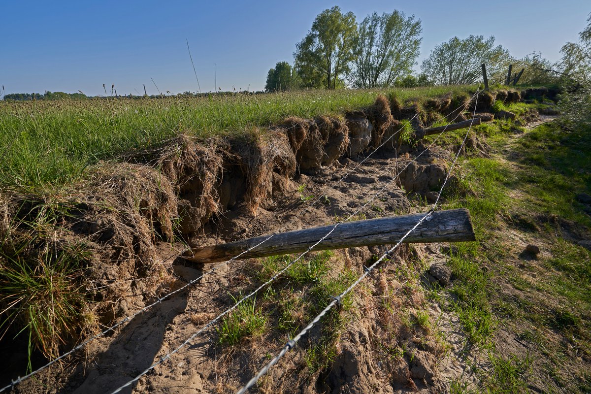 Waterschap Rivierenland tweet media
