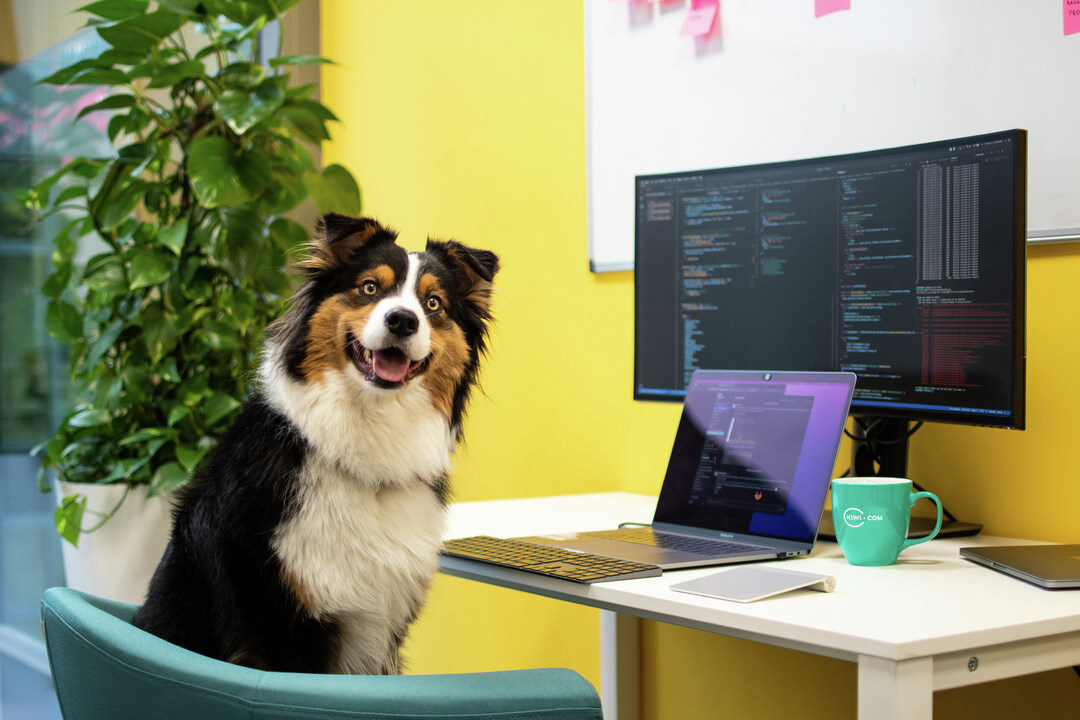 For more #events, #tech articles, and #Kiwicom engineering news, check out our newsletter 👉 go.kiwi.com/newsletter.  ♥️