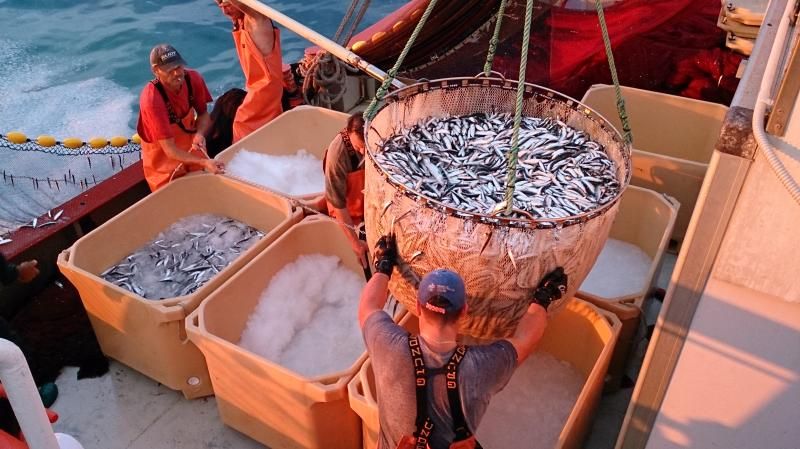 Rotogal_es's tweet photo. 🇬🇧 In #Rotogal we are specialized in the manufacture of insulated fish boxes for harvesting and logistics of fresh fish. Rotogal BI 700 on board. #Rotogal #InsulatedFishBoxes #FrozenFish #plastic #quality #containers #maintain #coldstorage #foodsafety https://t.co/2wsfI5PjcX