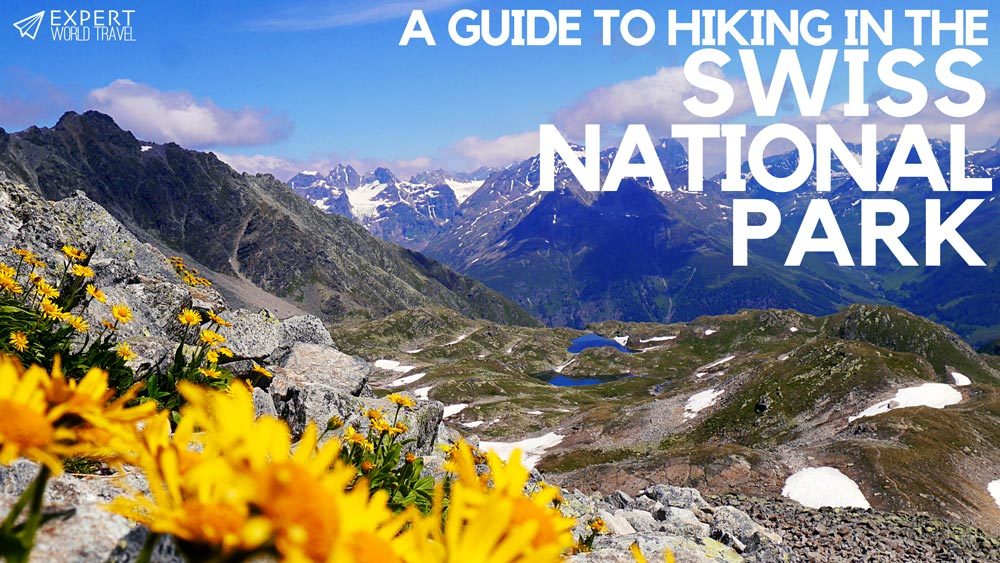 Discover Switzerland's local wildlife and hike the trails of the Swiss National Park. The only national park in Switzerland, this is a gem you can't miss! expertworldtravel.com/swiss-national… #hiking #swisshike
