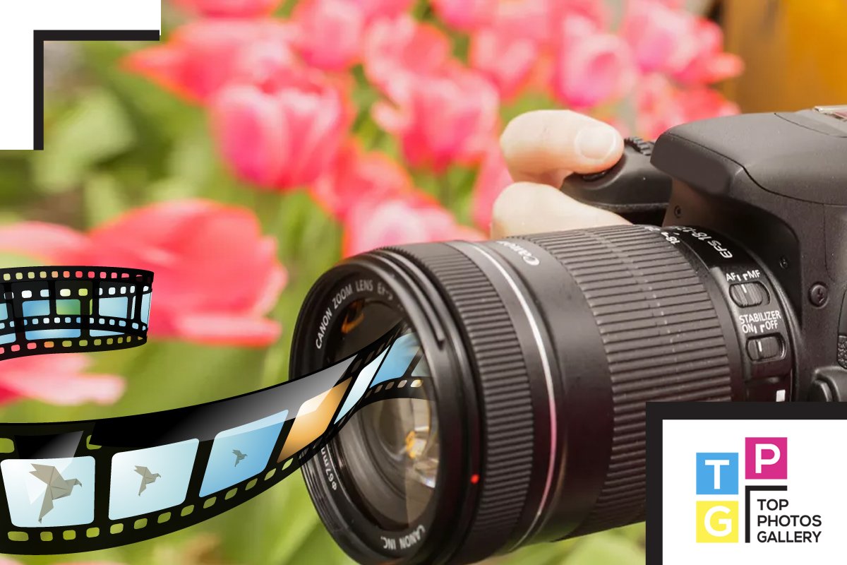 TOPPUBLISHERS's tweet photo. #Photographers Can Earn Through #TOP The Online Publishers #Photos Gallery Selling

https://t.co/sDGvCjZdx7 https://t.co/aCjJiAdVGk