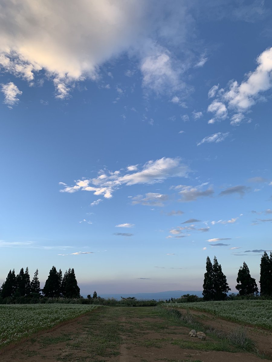 310_essential's tweet photo. 🤝 https://t.co/a71zMGiqtJ