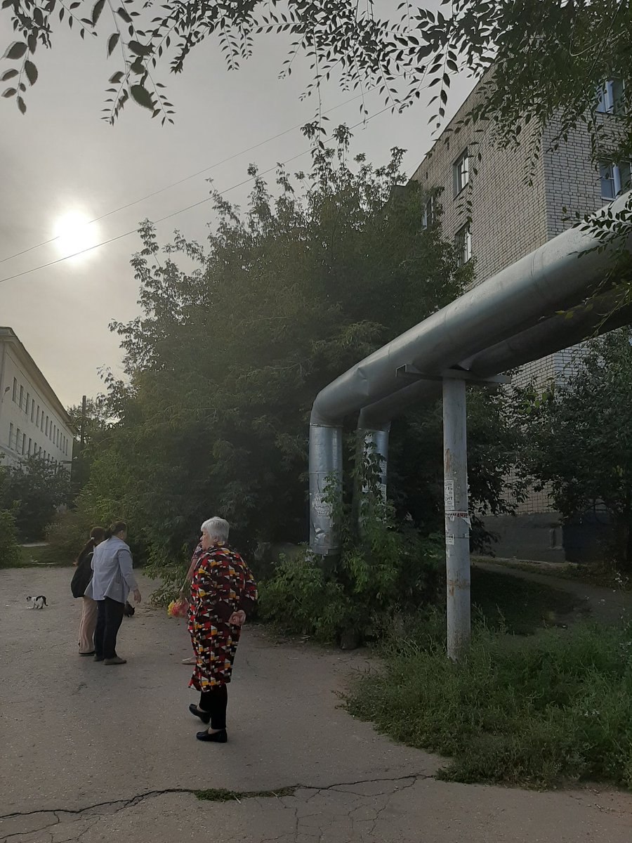 Мария tweet media