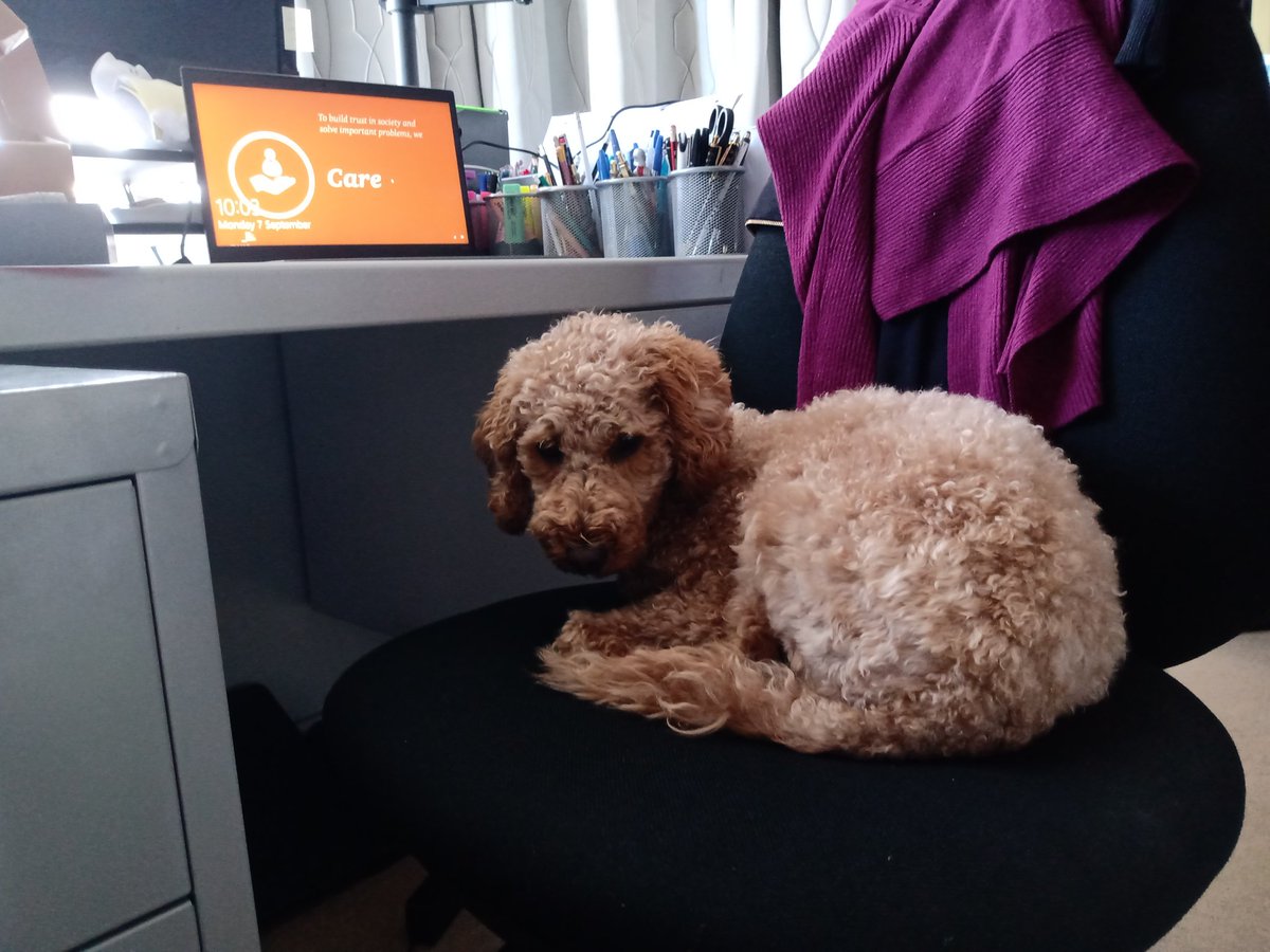 Amy Rubens tweet media