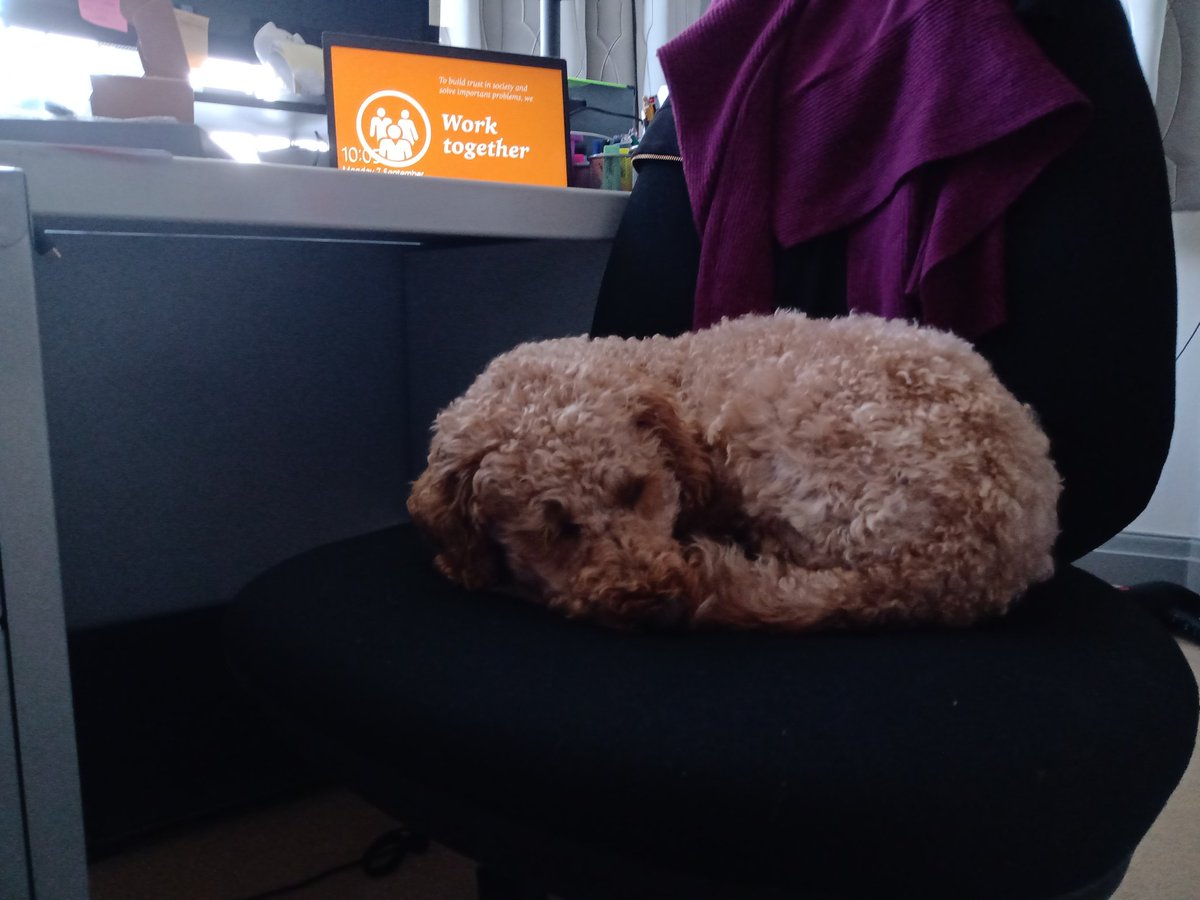 Amy Rubens tweet media