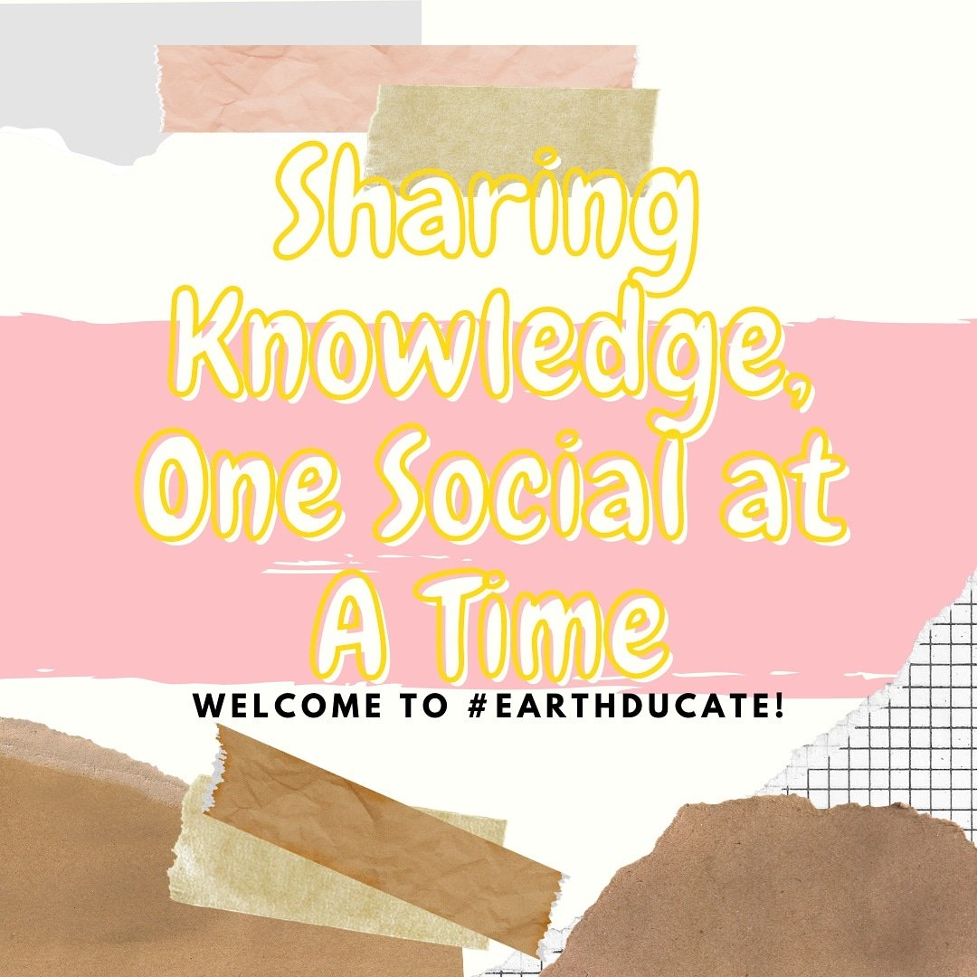 Earthducation_'s tweet photo. Help us share knowledge and awareness to help our common home ❤️
#ICTForSocialChange
#Earthducation https://t.co/fHBcj8qmIm