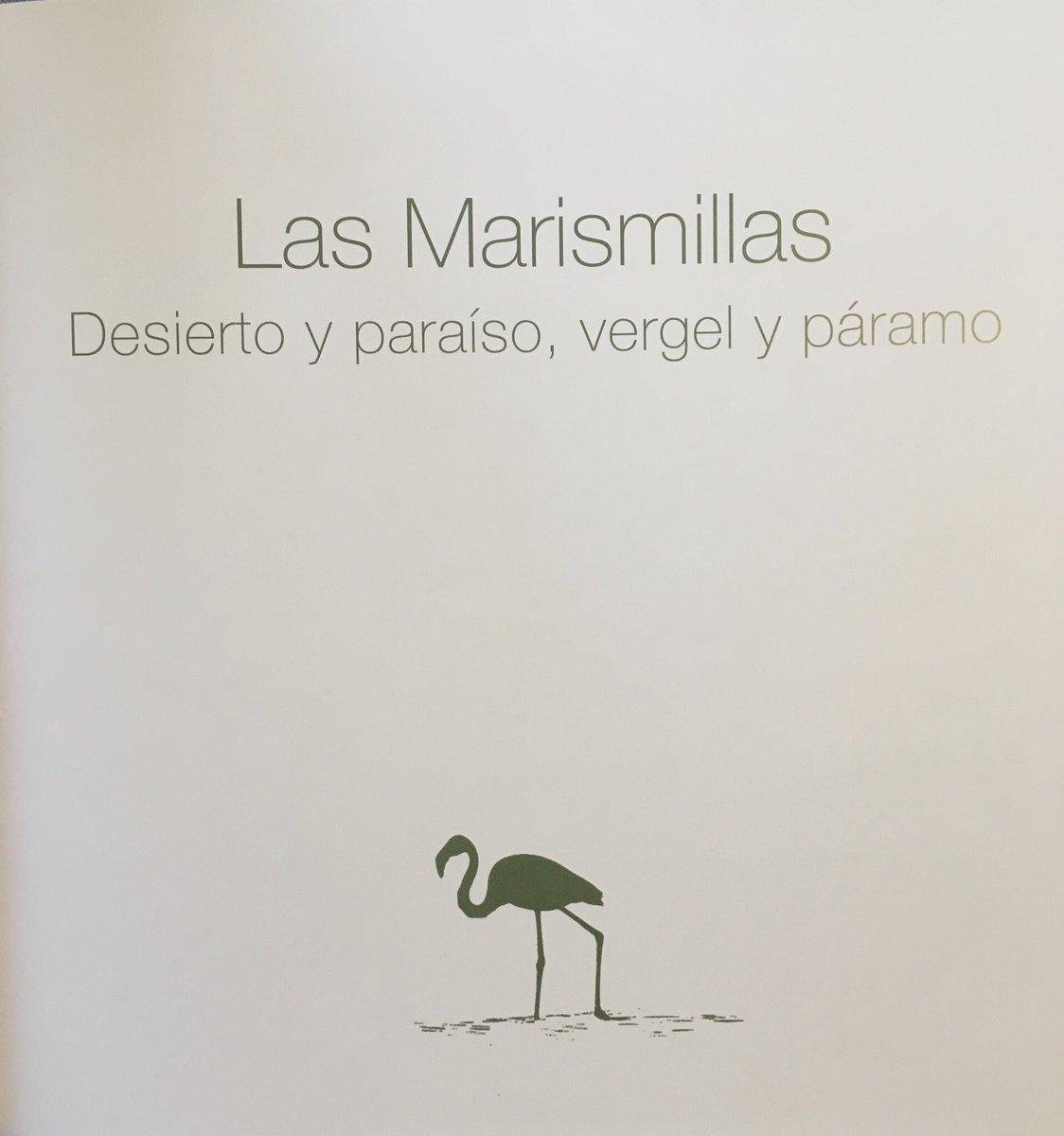 librosdecaza's tweet photo. #librosdecaza «Las Marismillas» editado por @mapagob en 2014, con la historia y anécdotas del Coto de Doñana, con aportaciones de Carlos Morenés y José Abellán, cartas de presidentes de gobierno que lo han conocido y fotografías espectaculares https://t.co/FcMh9Y156e